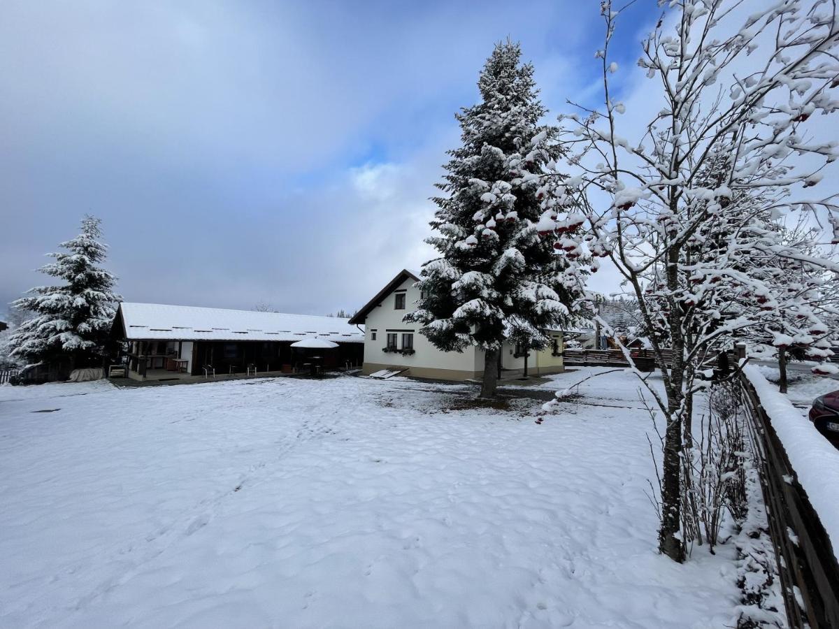 Pensiunea Vis Alpin Beliş Exteriör bild
