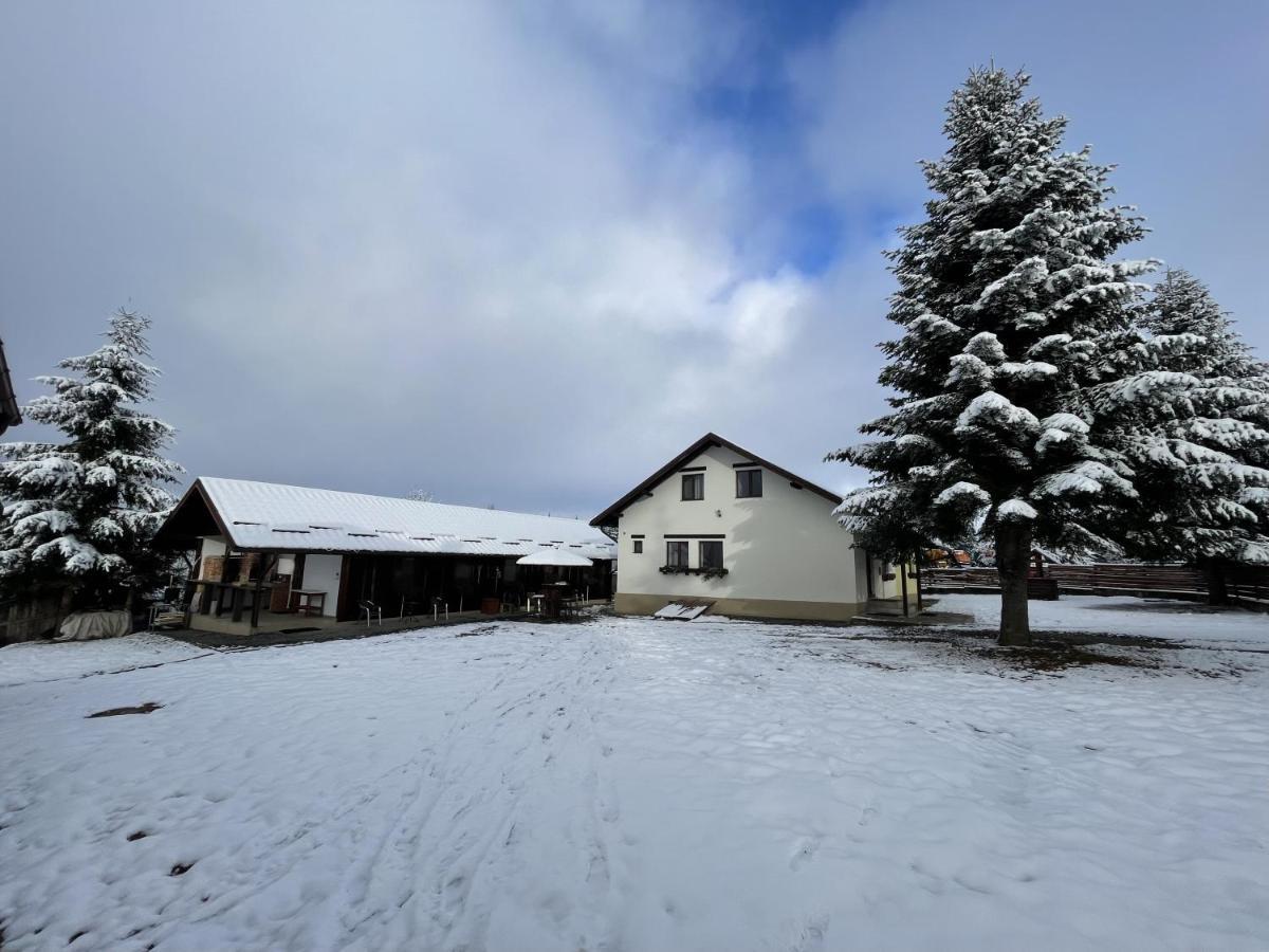 Pensiunea Vis Alpin Beliş Exteriör bild