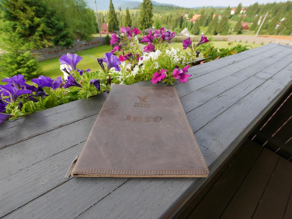 Pensiunea Vis Alpin Beliş Exteriör bild