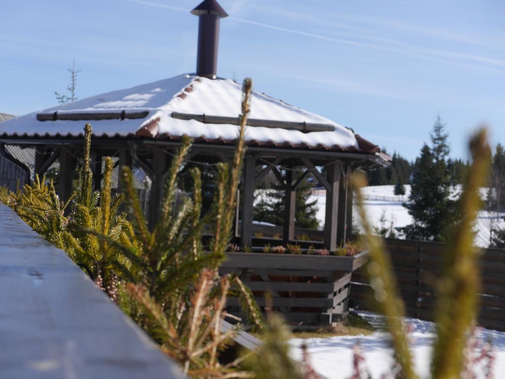 Pensiunea Vis Alpin Beliş Exteriör bild