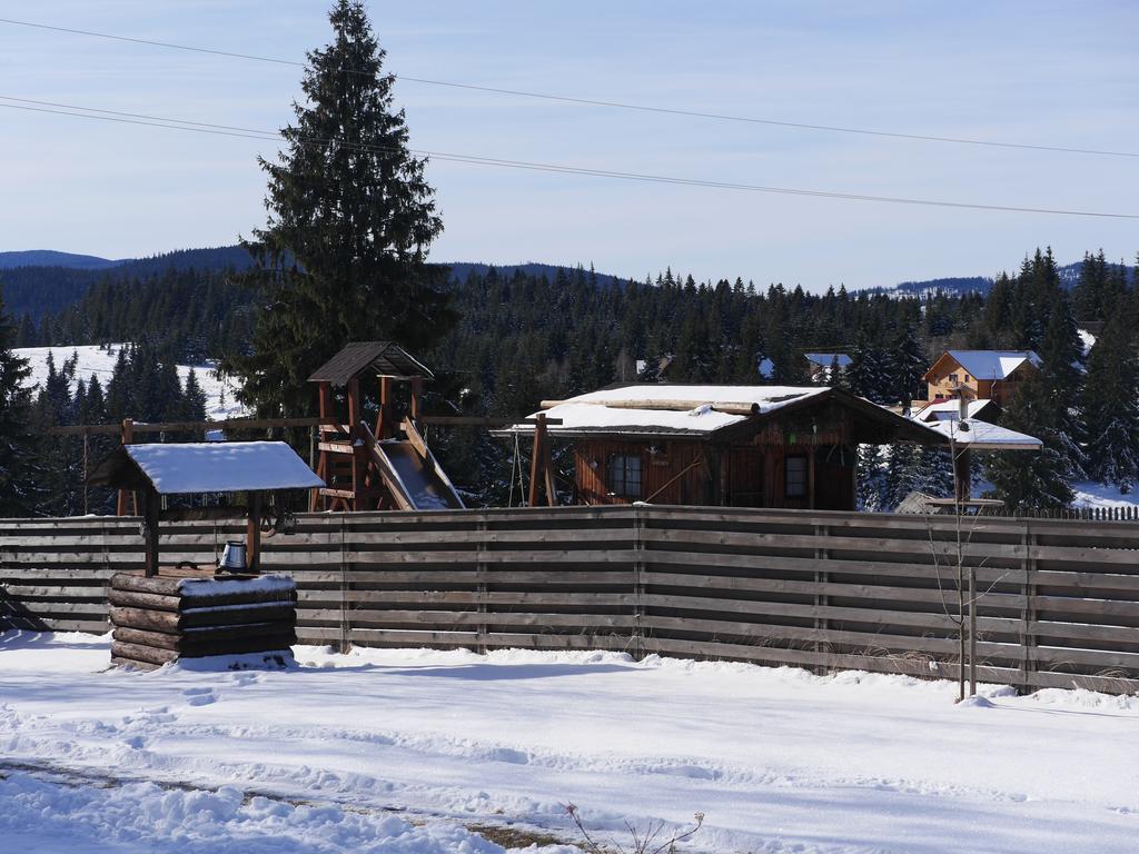 Pensiunea Vis Alpin Beliş Exteriör bild