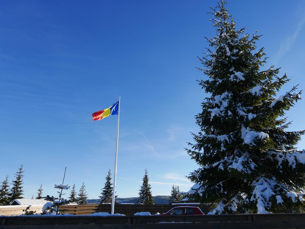 Pensiunea Vis Alpin Beliş Exteriör bild