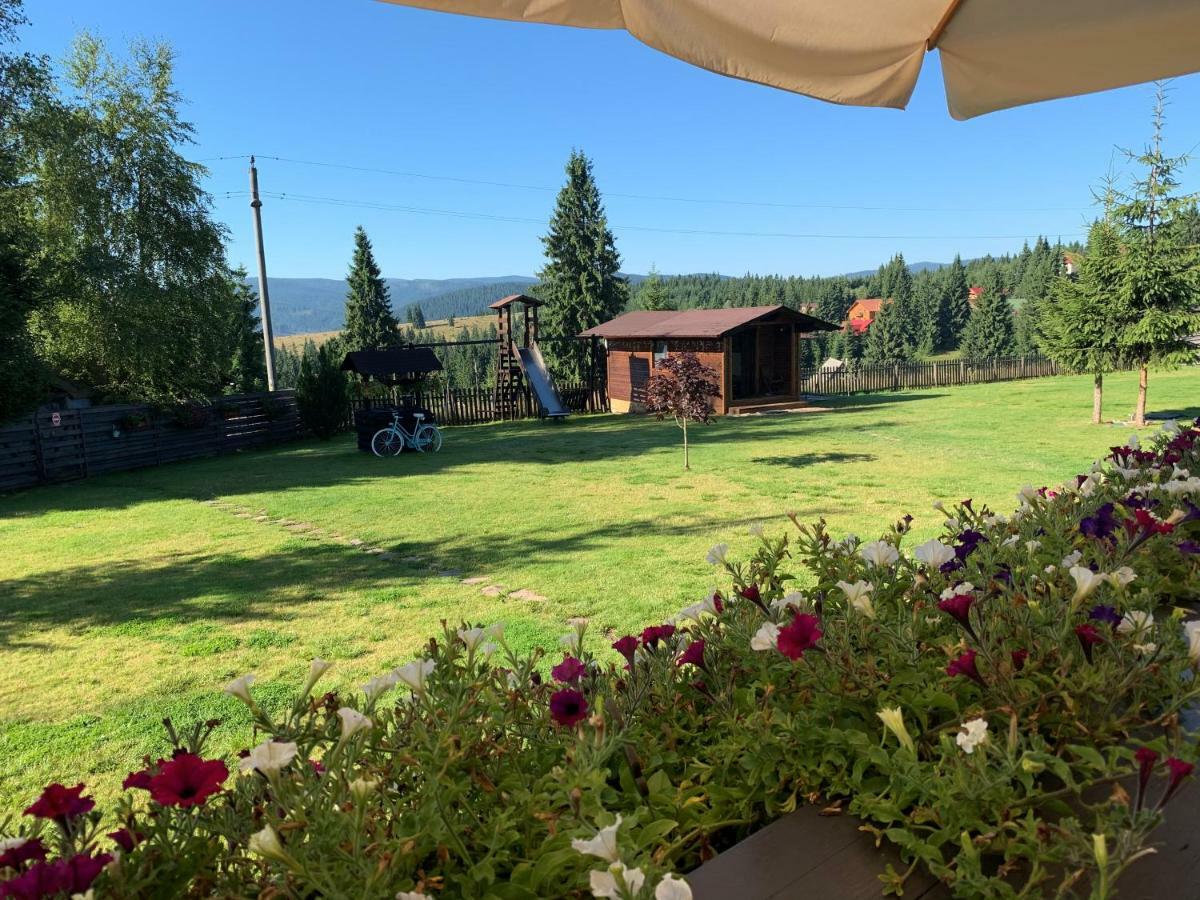 Pensiunea Vis Alpin Beliş Exteriör bild